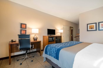 Room, 1 King Bed, Accessible, Non Smoking