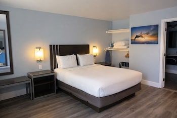 Room, 1 Queen Bed, Roll-in Shower