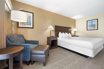 Standard Room, 1 King Bed, Non Smoking, Refrigerator & Microwave