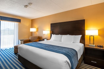 Room, 1 King Bed, Non Smoking (Main Floor)