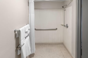 Room, 1 King Bed, Mobility Accessible, Non Smoking (Roll-in Shower)
