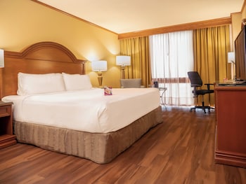 Standard Room, 1 King Bed