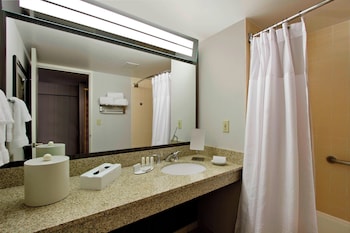 Room, 1 King Bed