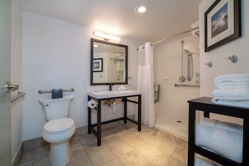 Room, 1 King Bed, Roll-in Shower (Mobility Accessible, Tower 1)