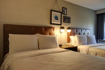 Suite, 1 Bedroom