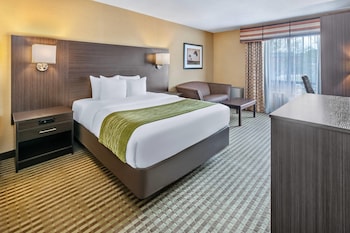 Comfort Care, Standard Room, 1 Queen Bed