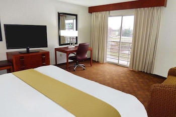 Room, 1 King Bed, Non Smoking