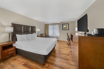 Standard Room, 1 King Bed, Non Smoking, Jetted Tub