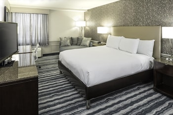 Room, 1 King Bed, Accessible, Non Smoking (Roll-in Shower)
