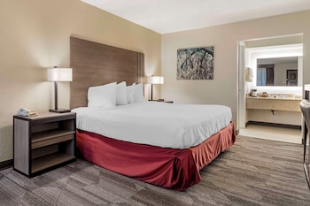 Standard Room, 1 King Bed, Non Smoking