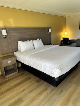 Standard Room, 1 King Bed, Non Smoking