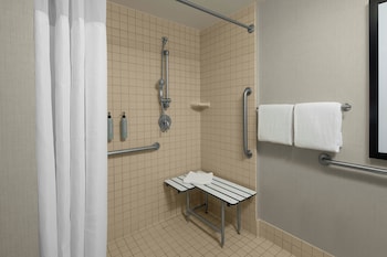 Studio, 1 King Bed with Sofa bed (Mobility Accessible, Roll-In Shower)