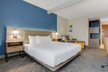 Suite, 1 King Bed with Sofa bed
