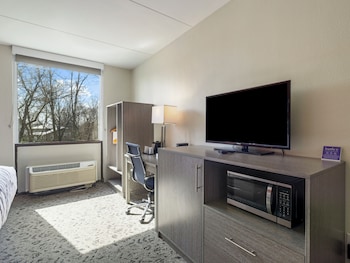 Suite, 1 King Bed, Non Smoking