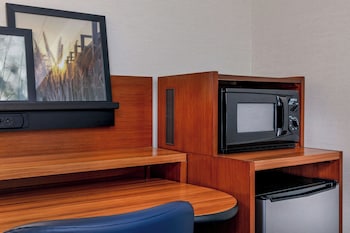 Room, 1 King Bed with Sofa bed