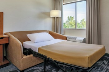 Room, 1 King Bed with Sofa bed