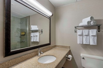 Standard Room, 1 King Bed, Refrigerator & Microwave, Courtyard Area (with Sofabed)