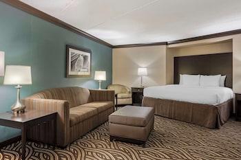 Suite, 1 King Bed, Non Smoking, Refrigerator & Microwave (with Sofabed)