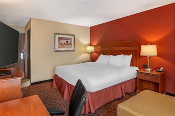 Standard Room, 1 King Bed, Non Smoking (Pet Friendly)