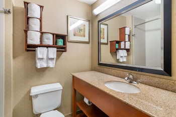 Standard Room, 1 King Bed, Non Smoking (Pet Friendly)