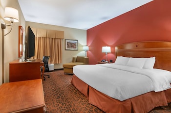Standard Room, 1 King Bed, Accessible, Non Smoking