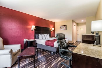 Standard Room, 1 King Bed, Non Smoking