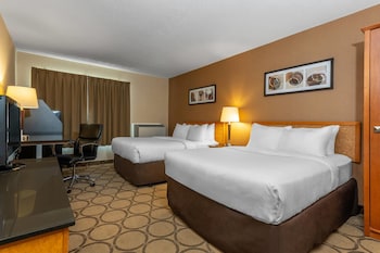 Standard Double Room, 2 Double Beds, Non Smoking