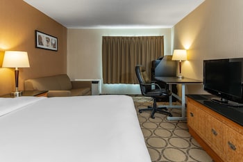 Standard Room, 1 Queen Bed, Non Smoking
