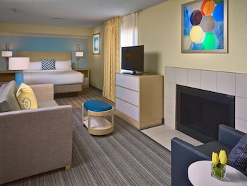 Studio Suite, 1 Queen Bed, Accessible, Fireplace (Kitchen, Mobility, Shower)