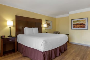 Standard Room, 1 King Bed, Non Smoking, Microwave