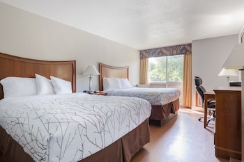 Room, 2 Queen Beds