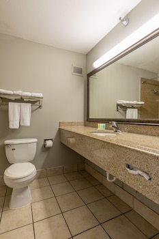 Room, 1 King Bed