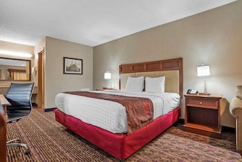 Standard Room, 1 King Bed, Accessible, Bathtub