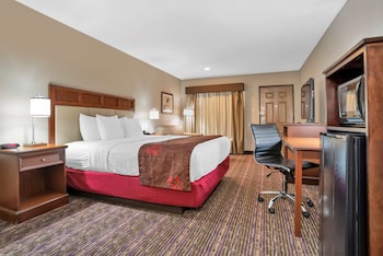 Standard Room, 1 King Bed, Accessible, Bathtub