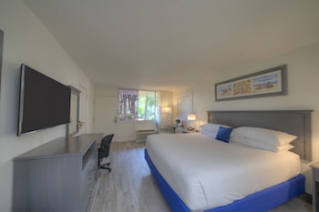 Standard Room, 1 King Bed, Accessible