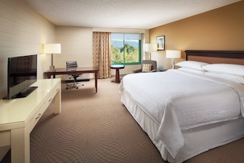 Room, 1 King Bed