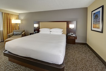 Room, 1 King Bed, Accessible, Bathtub (Mobility & Hearing)