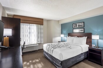 Accessible Room | 1 Queen Bed | Roll-In Shower | Sleeps 2 | Free Breakfast