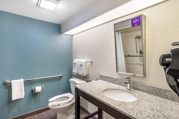 Accessible Room | 1 Queen Bed | Roll-In Shower | Sleeps 2 | Free Breakfast