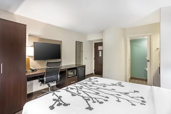 Room | 1 Queen Bed | Sleeps 2 | Free Breakfast