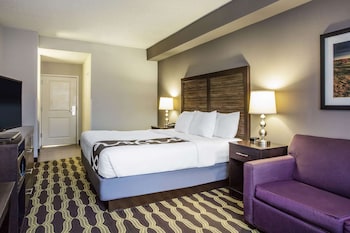 Deluxe Room, 1 King Bed, Non Smoking