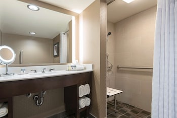 Room, Accessible, Non Smoking (Roll-in Shower)