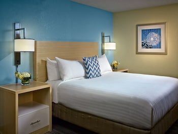 Studio Suite, 1 Double Bed, Accessible, Kitchen (Mobility Tub)