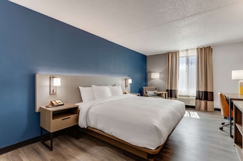 Standard Room, 1 King Bed, Non Smoking