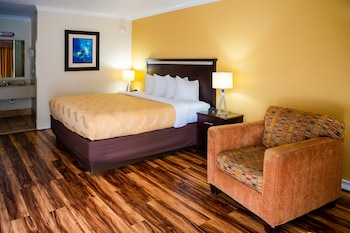 Standard Room, 1 King Bed, Non Smoking