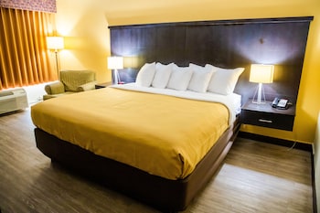 Room, 1 King Bed, Smoking