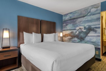 Standard Room, 1 King Bed, Non Smoking, Refrigerator & Microwave