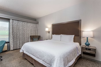 King, Standard Room, 1 King Bed