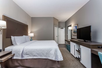 King, Standard Room, 1 King Bed