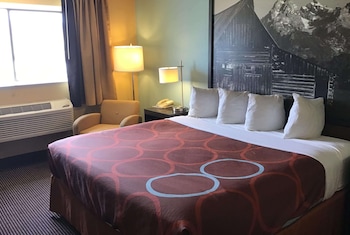 Room, 1 King Bed, Non Smoking
